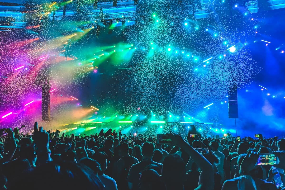 Music festival crowd